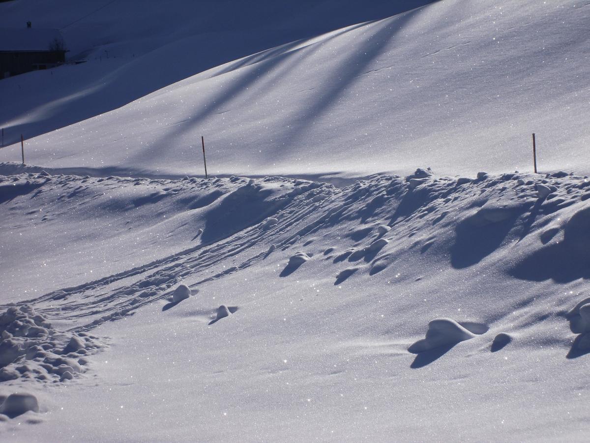 Maisaess Lifinarblick Villa Schruns Esterno foto