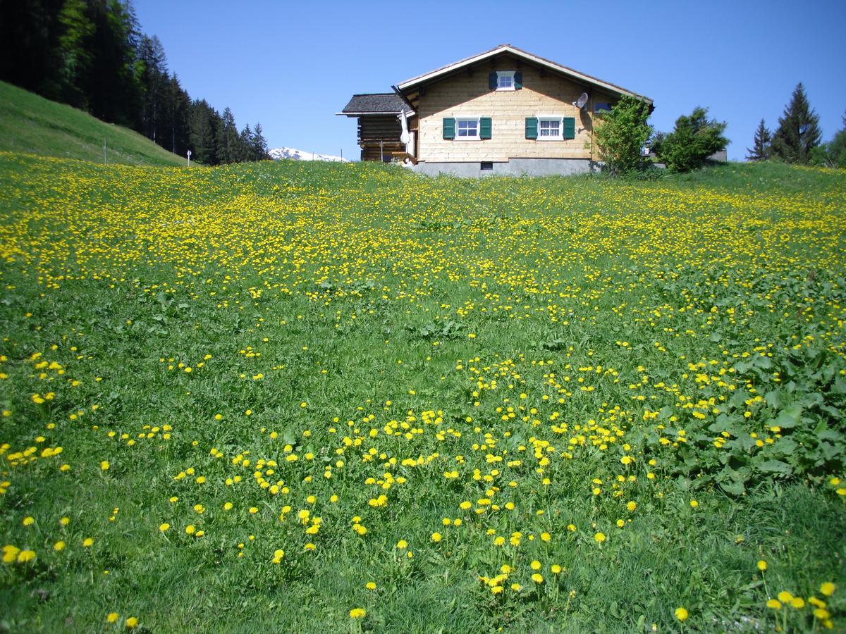 Maisaess Lifinarblick Villa Schruns Esterno foto