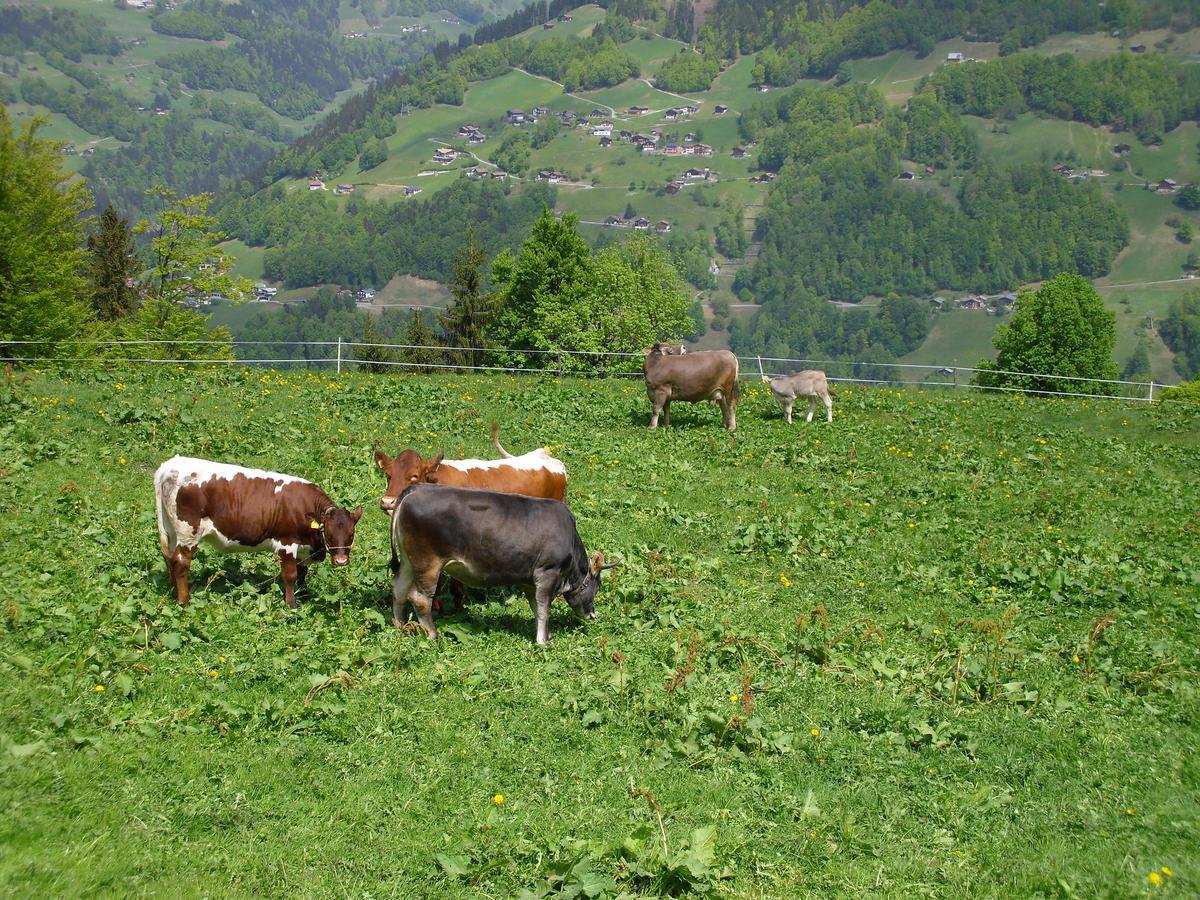 Maisaess Lifinarblick Villa Schruns Esterno foto